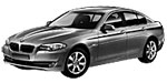 BMW F10 P1DFA Fault Code